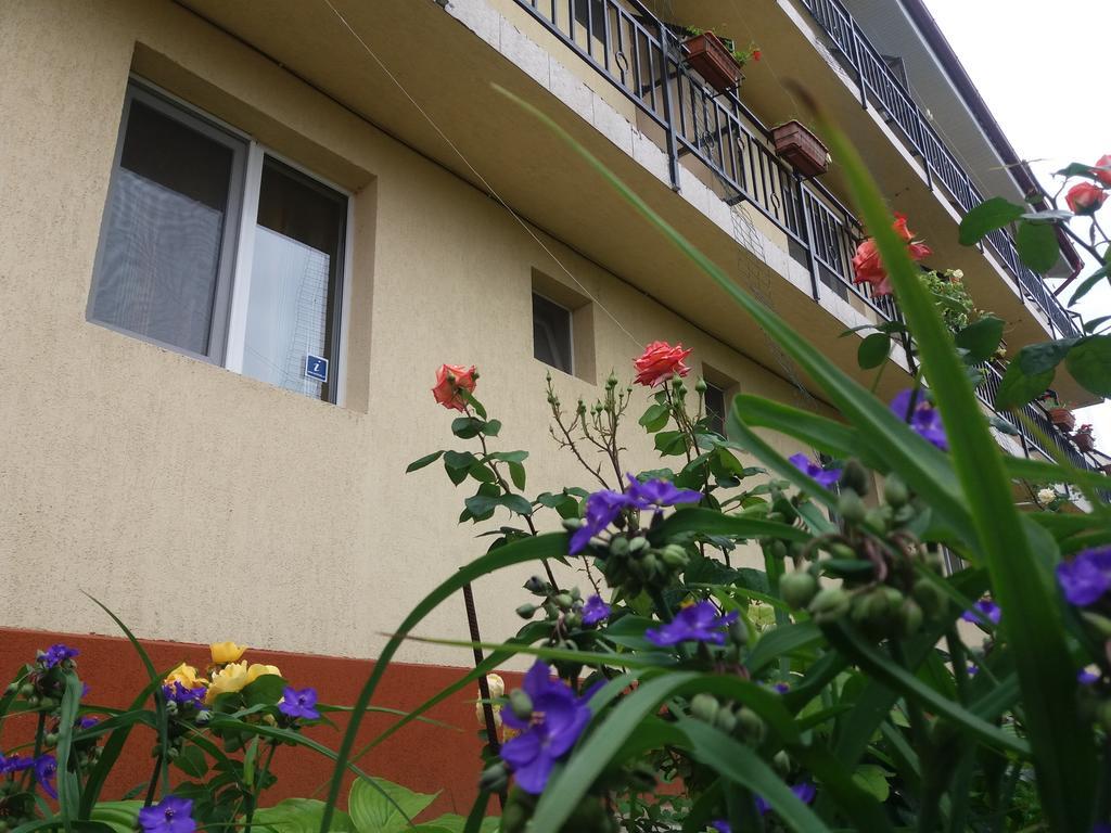Vila Albatros Вама-Веке Экстерьер фото